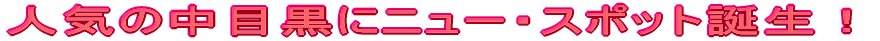 lC̒ڍɃj[EX|bgaI